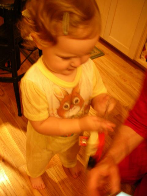DSCN8737.JPG