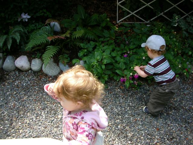 DSCN8775.JPG