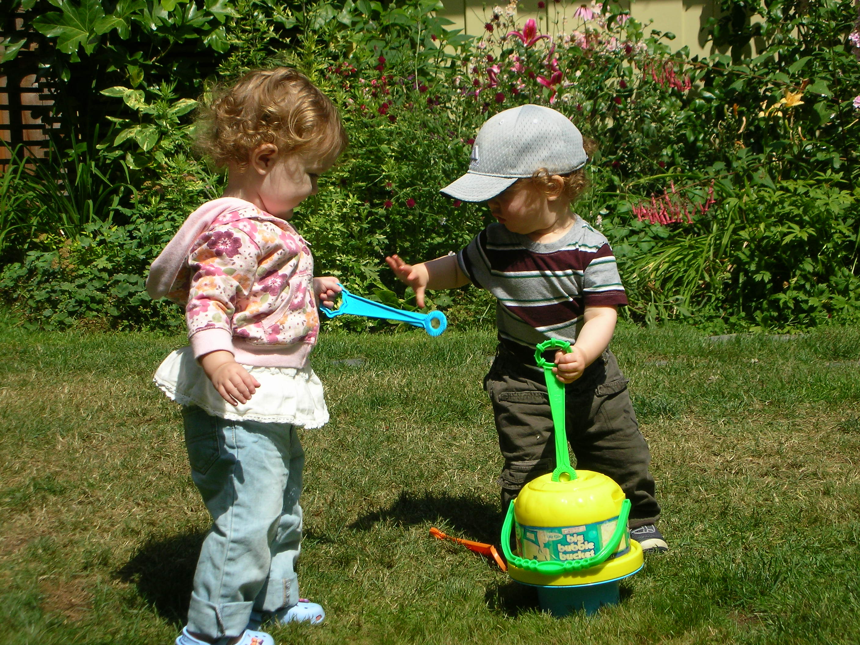 DSCN8785.JPG