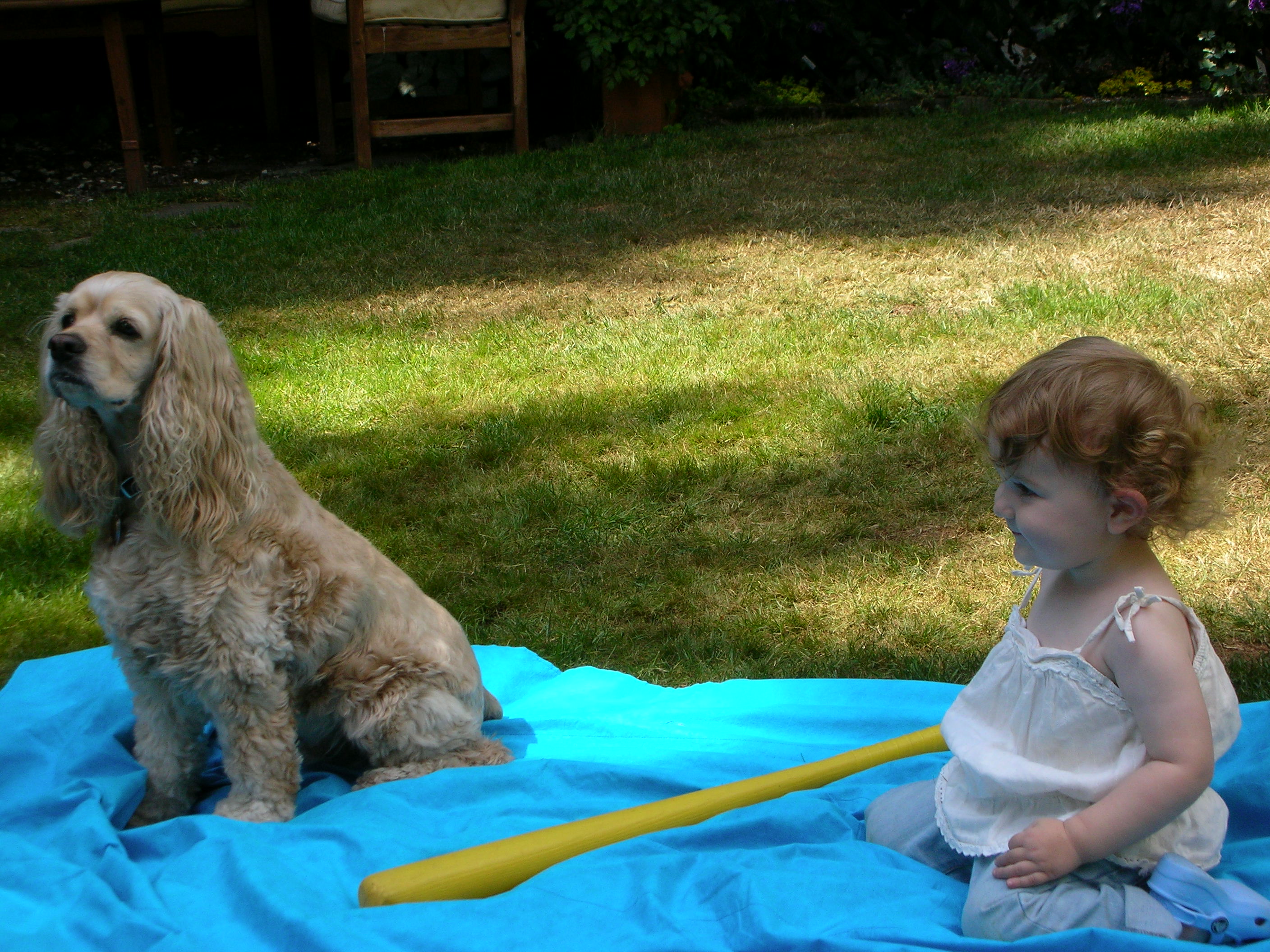 DSCN8806.JPG