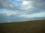 DSCN8818.JPG