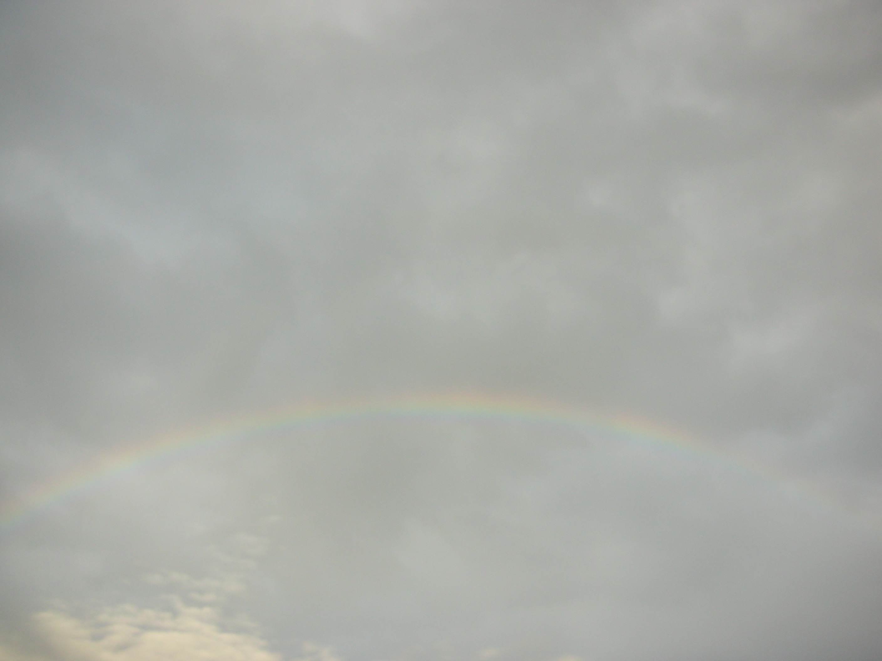 DSCN8876.JPG