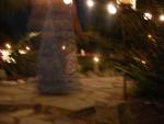 DSCN8945.JPG