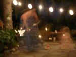 DSCN8948.JPG