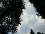 DSCN9044.JPG