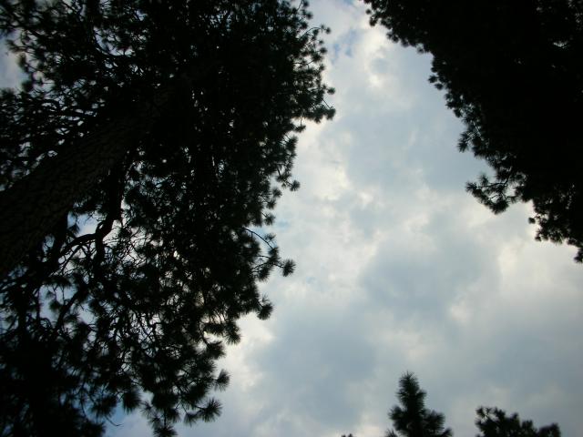 DSCN9044.JPG
