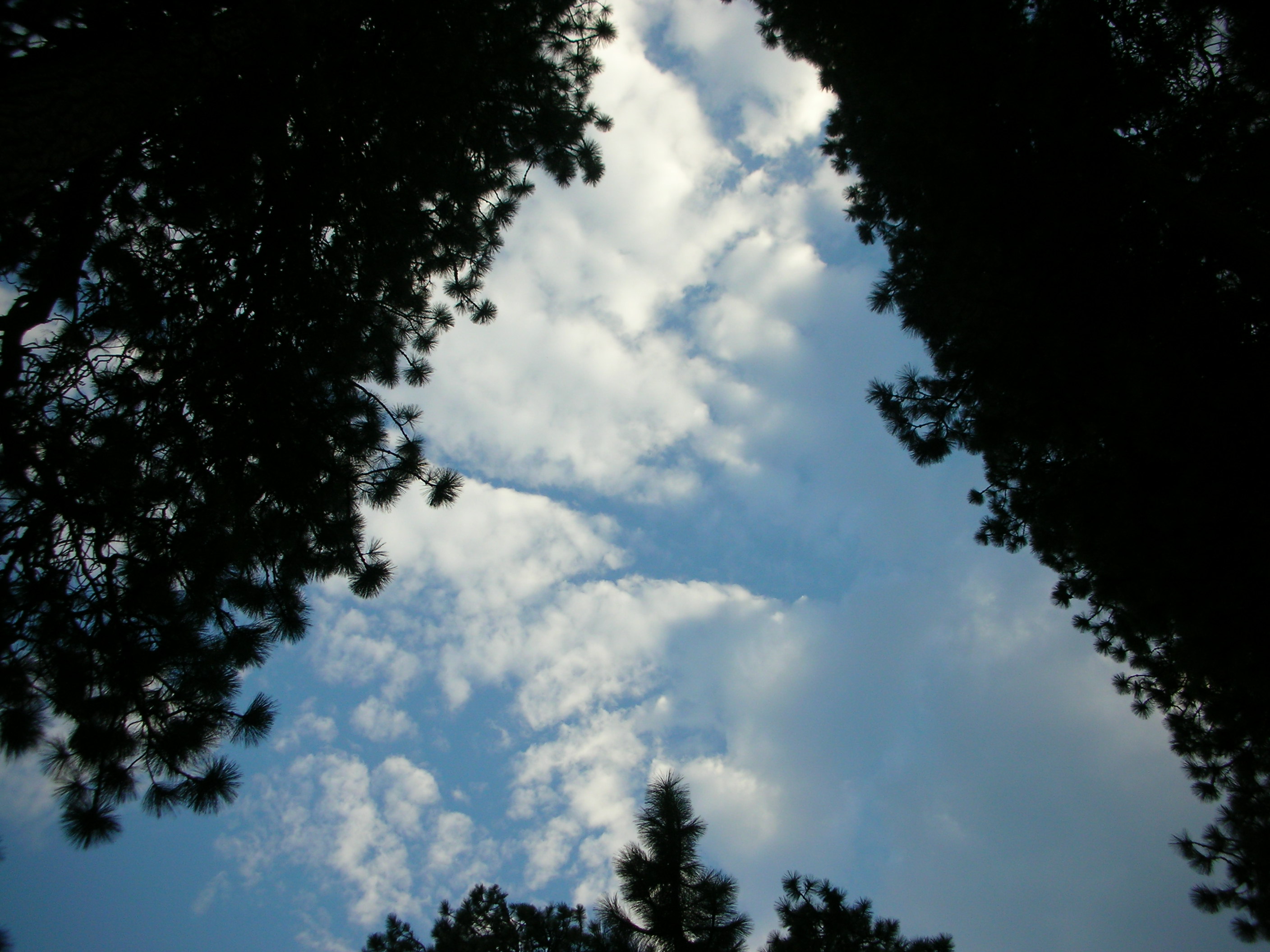 DSCN9059.JPG