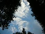 DSCN9059.JPG